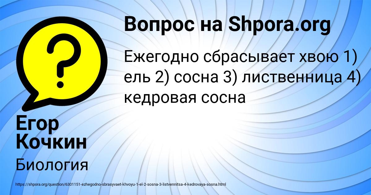 Картинка с текстом вопроса от пользователя Егор Кочкин