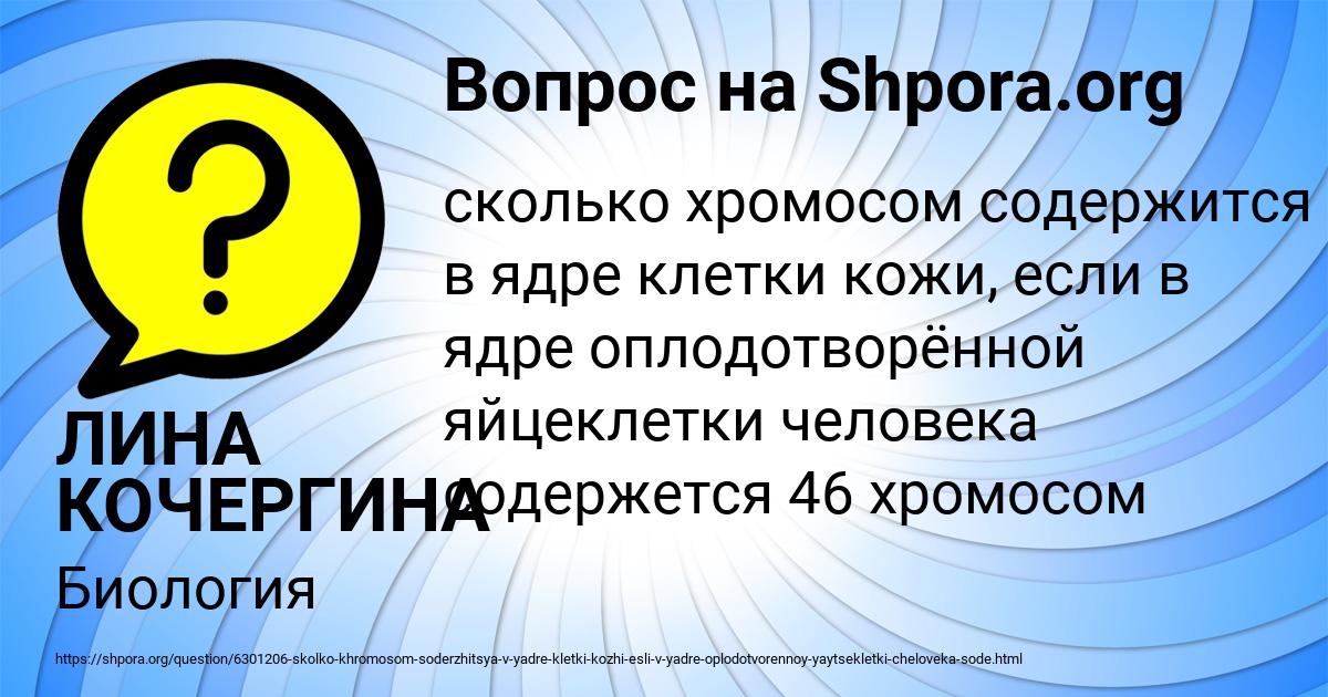 Картинка с текстом вопроса от пользователя ЛИНА КОЧЕРГИНА