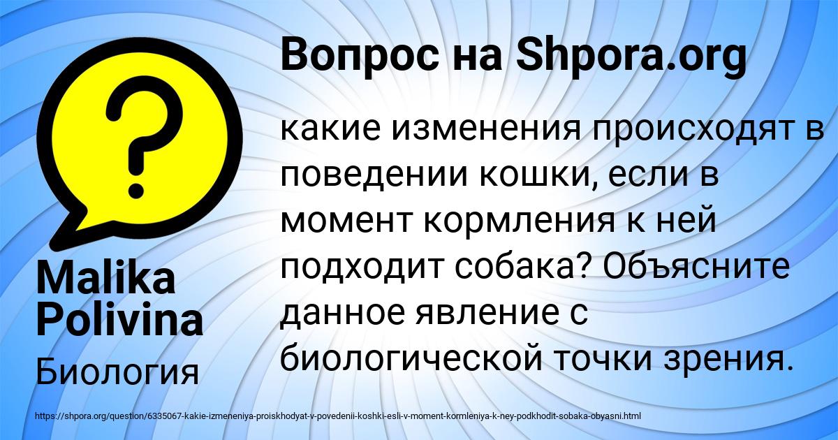 Картинка с текстом вопроса от пользователя Malika Polivina