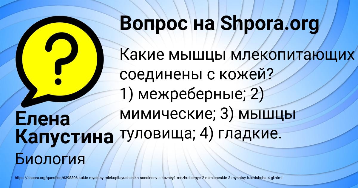Картинка с текстом вопроса от пользователя Елена Капустина