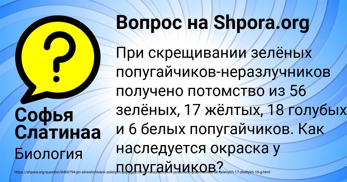 Картинка с текстом вопроса от пользователя Софья Слатинаа