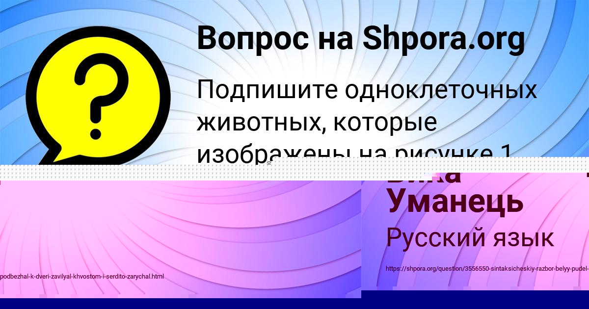 Картинка с текстом вопроса от пользователя Senya Zaec