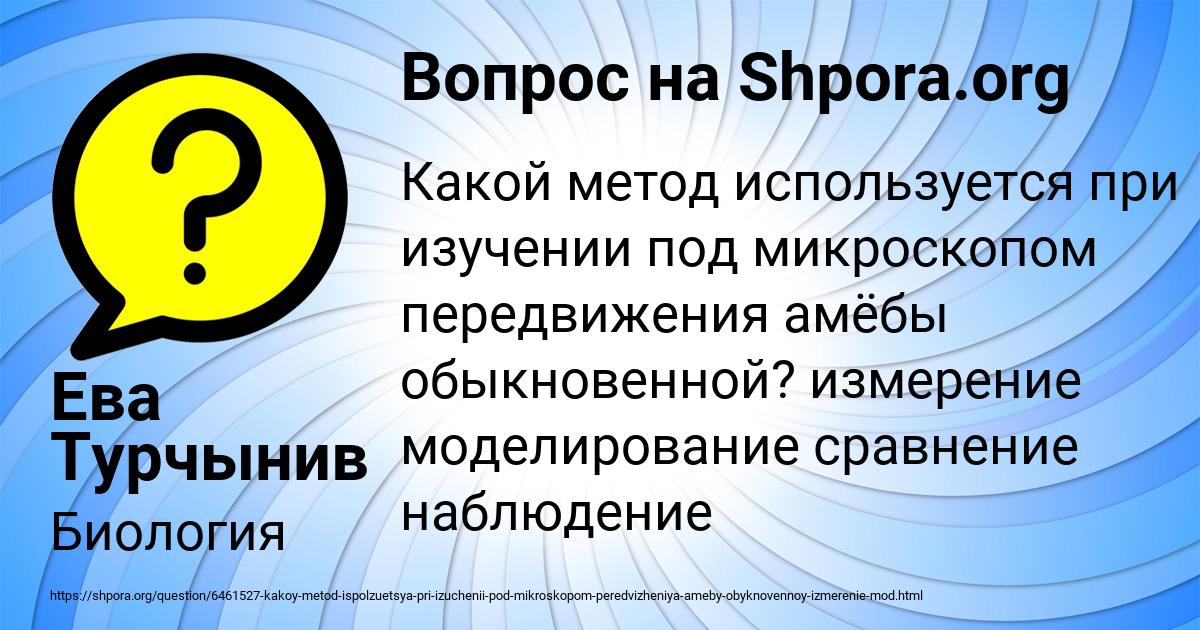 Картинка с текстом вопроса от пользователя Ева Турчынив