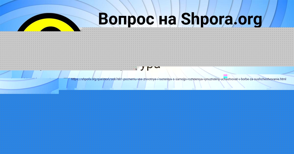 Картинка с текстом вопроса от пользователя Ануш Кондратенко