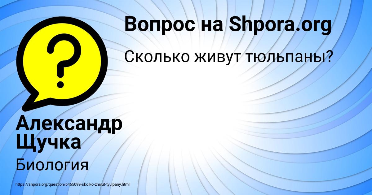 Картинка с текстом вопроса от пользователя Александр Щучка