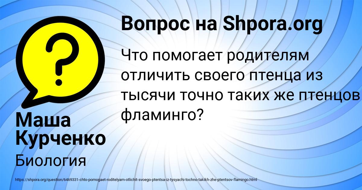 Картинка с текстом вопроса от пользователя Маша Курченко