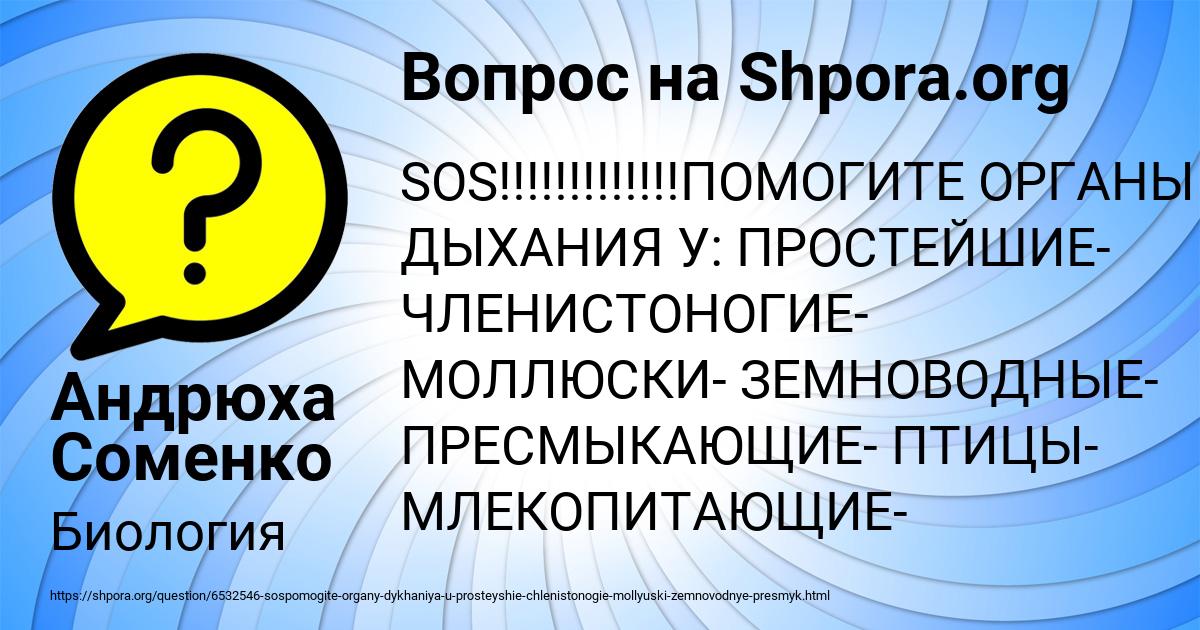 Картинка с текстом вопроса от пользователя Андрюха Соменко