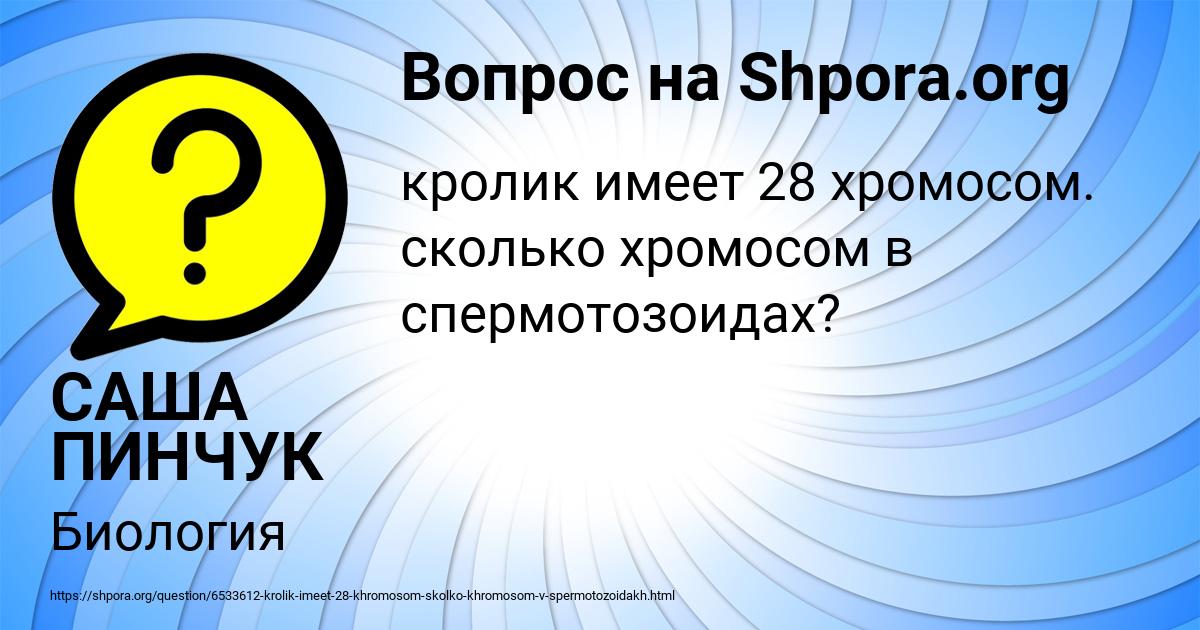 Картинка с текстом вопроса от пользователя САША ПИНЧУК