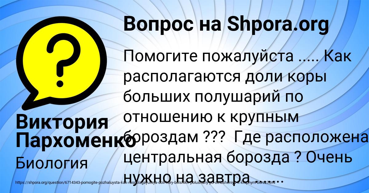 Картинка с текстом вопроса от пользователя Виктория Пархоменко