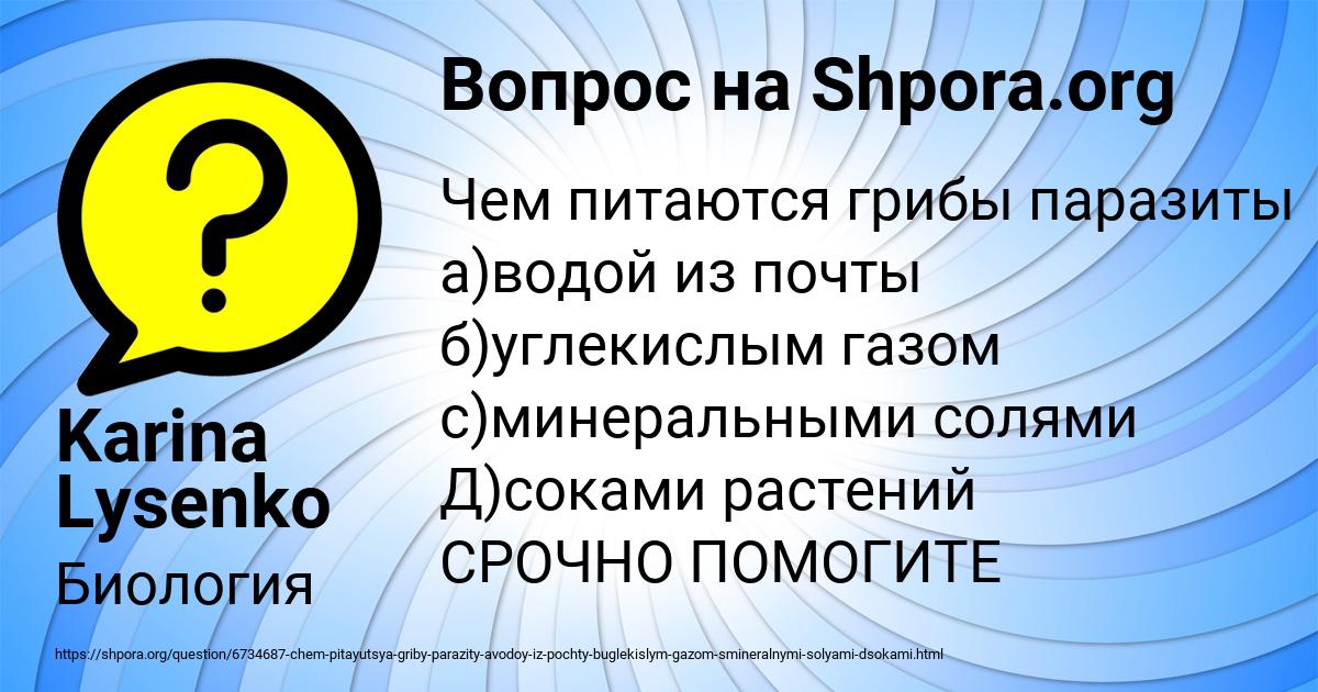 Картинка с текстом вопроса от пользователя Karina Lysenko