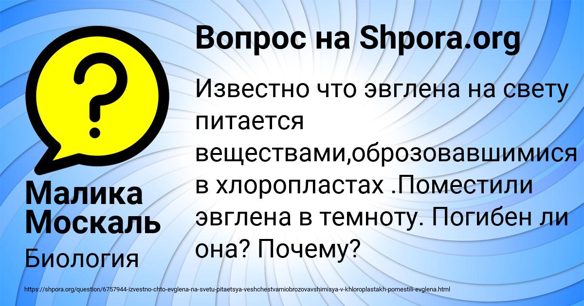 Картинка с текстом вопроса от пользователя Малика Москаль