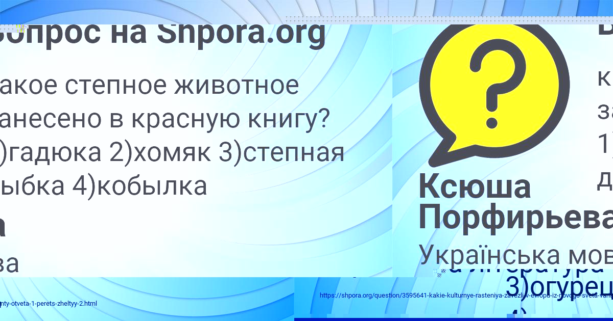 Картинка с текстом вопроса от пользователя Ксюша Порфирьева