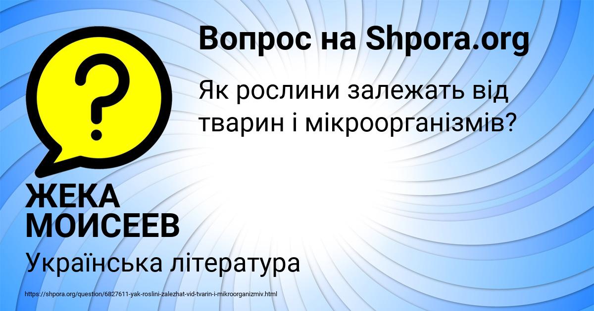 Картинка с текстом вопроса от пользователя ЖЕКА МОИСЕЕВ