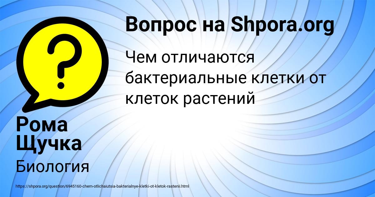 Картинка с текстом вопроса от пользователя Рома Щучка