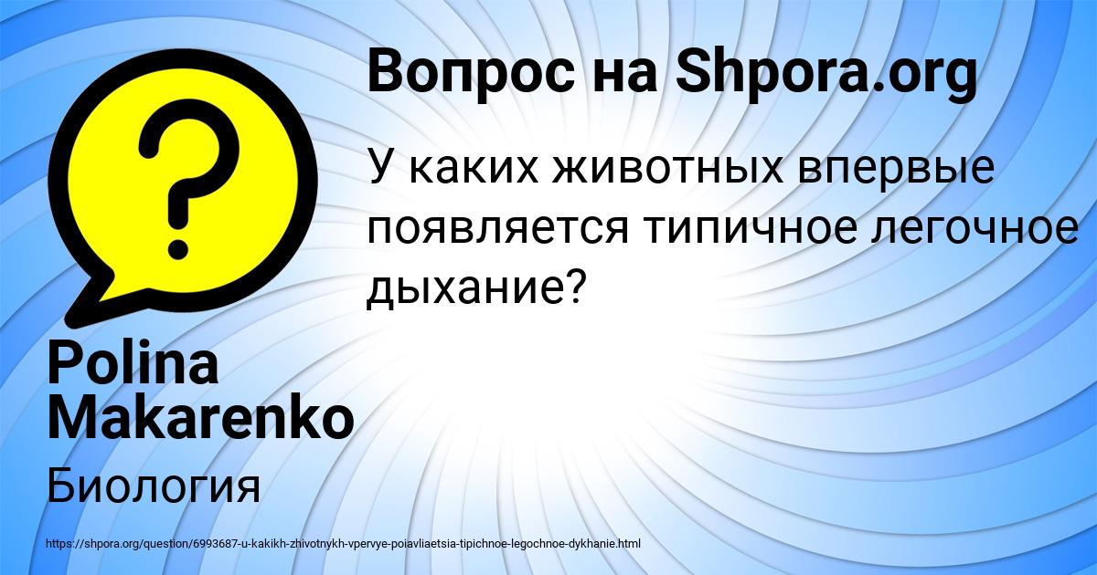 Картинка с текстом вопроса от пользователя Polina Makarenko