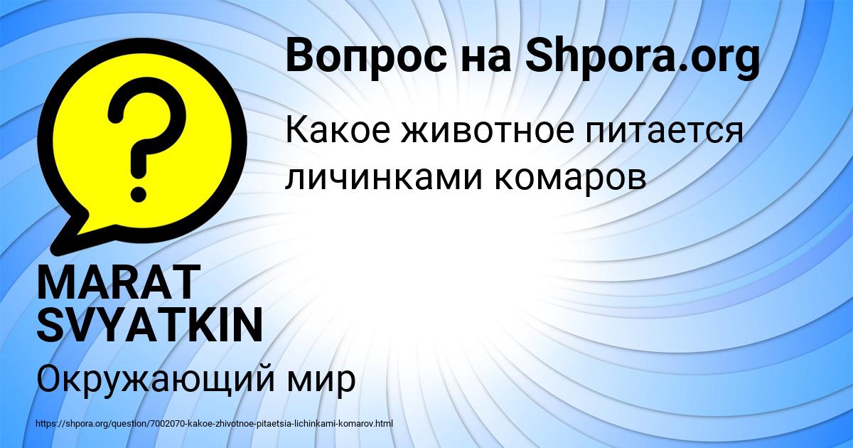 Картинка с текстом вопроса от пользователя MARAT SVYATKIN