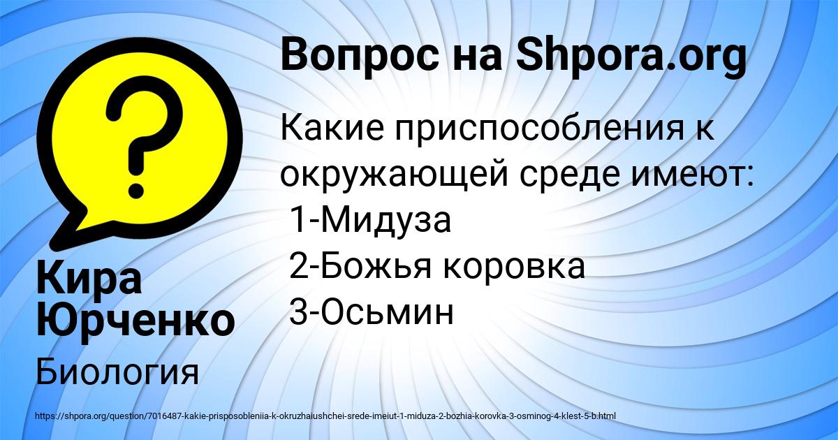 Картинка с текстом вопроса от пользователя Кира Юрченко