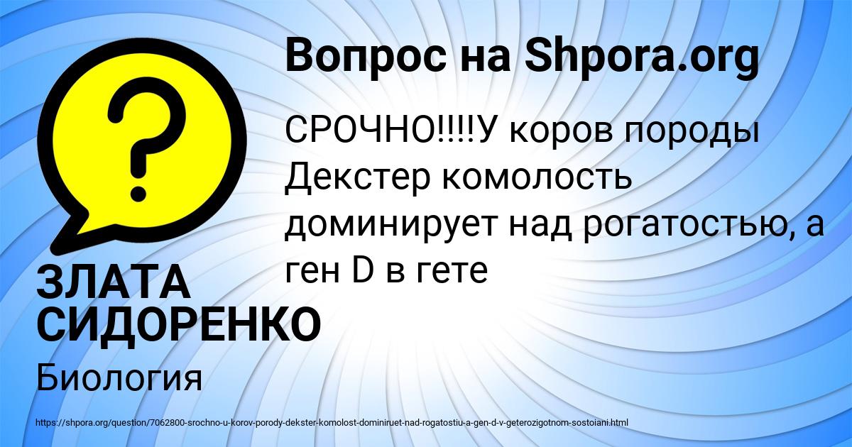 Картинка с текстом вопроса от пользователя ЗЛАТА СИДОРЕНКО