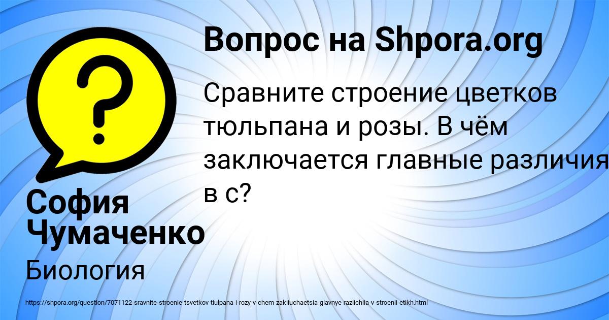 Картинка с текстом вопроса от пользователя София Чумаченко