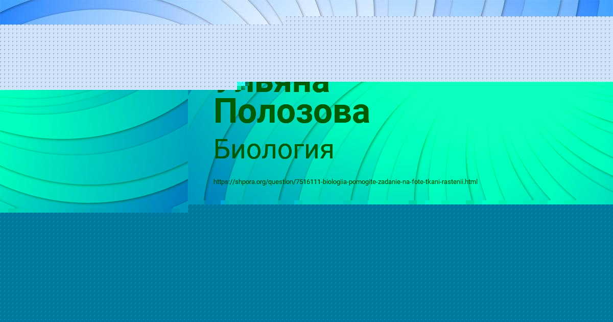 Картинка с текстом вопроса от пользователя Timur Sevostyanov