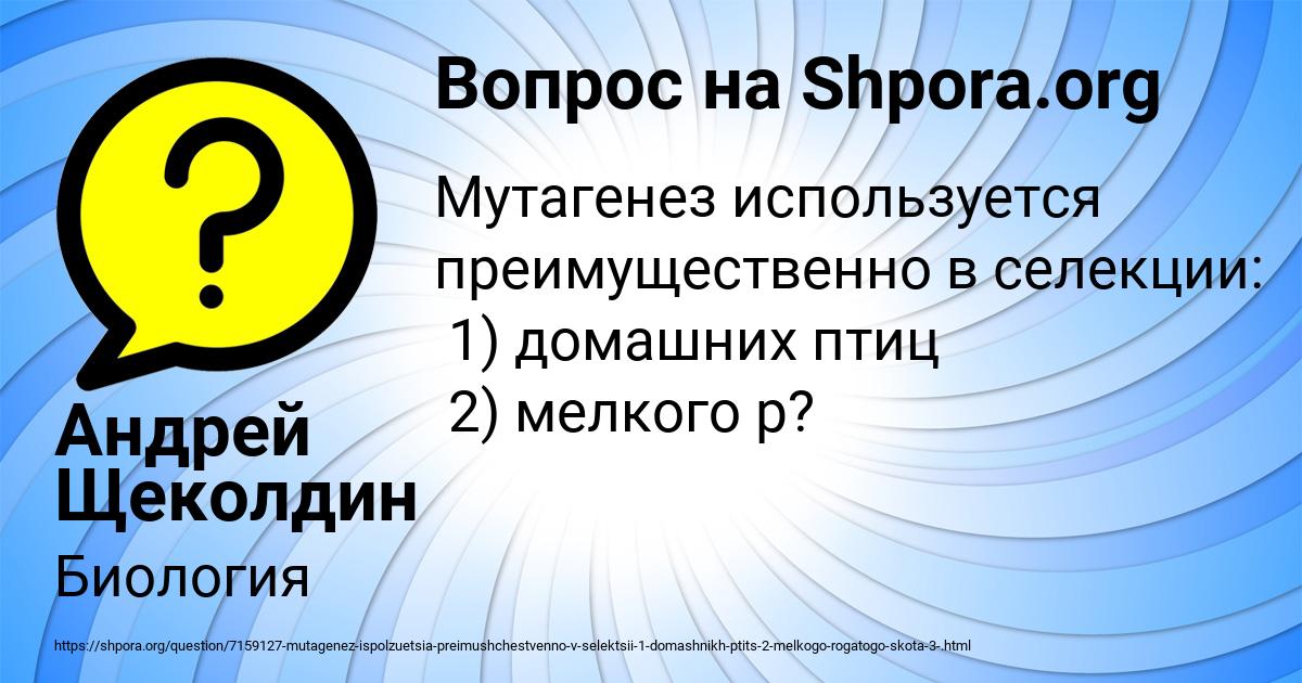Картинка с текстом вопроса от пользователя Андрей Щеколдин