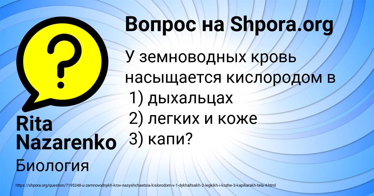 Картинка с текстом вопроса от пользователя Rita Nazarenko