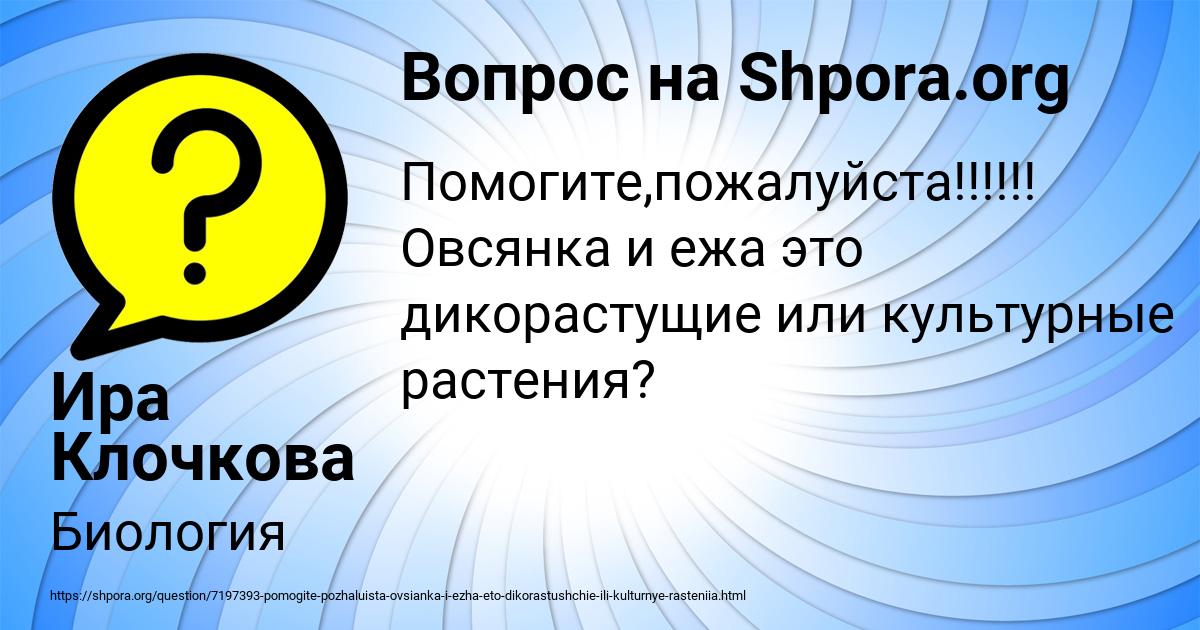 Картинка с текстом вопроса от пользователя Ира Клочкова