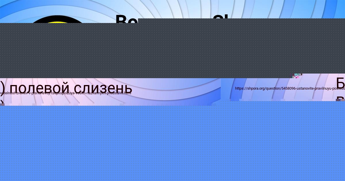 Картинка с текстом вопроса от пользователя Василий Минаев