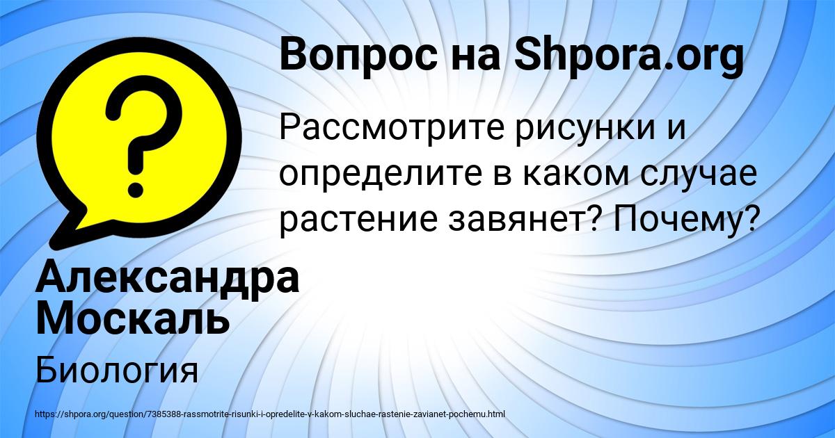 Картинка с текстом вопроса от пользователя Александра Москаль