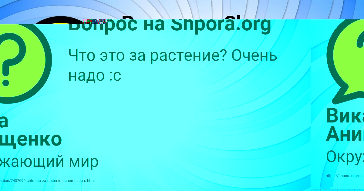 Картинка с текстом вопроса от пользователя Вика Анищенко