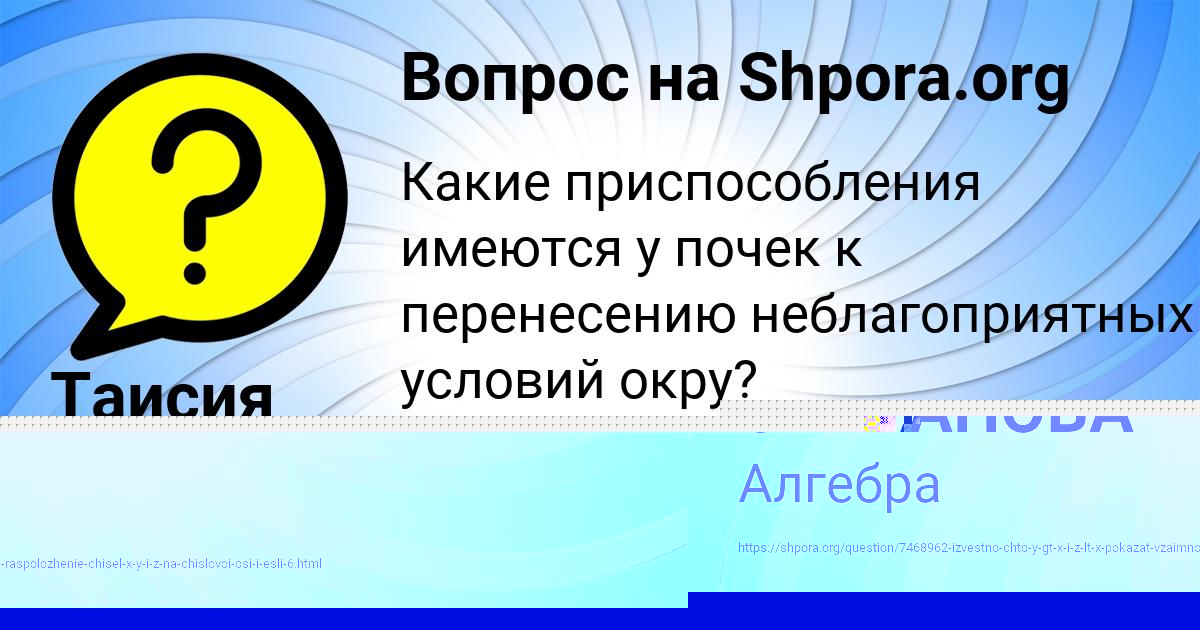 Картинка с текстом вопроса от пользователя МАШКА СТЕПАНОВА