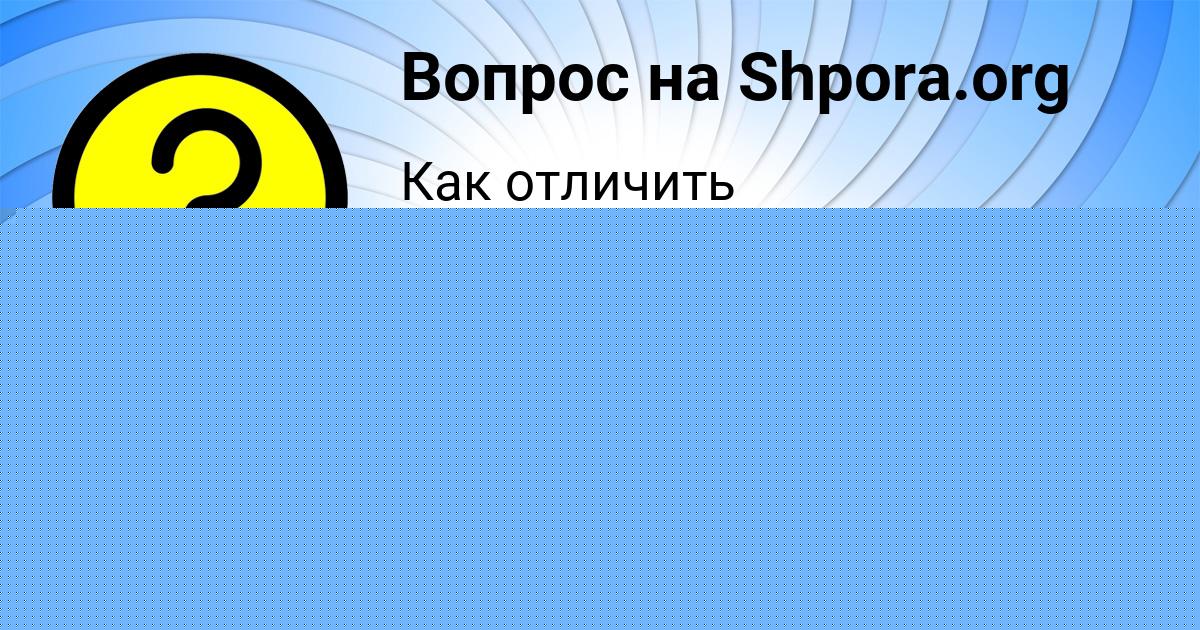 Картинка с текстом вопроса от пользователя Ника Федоренко
