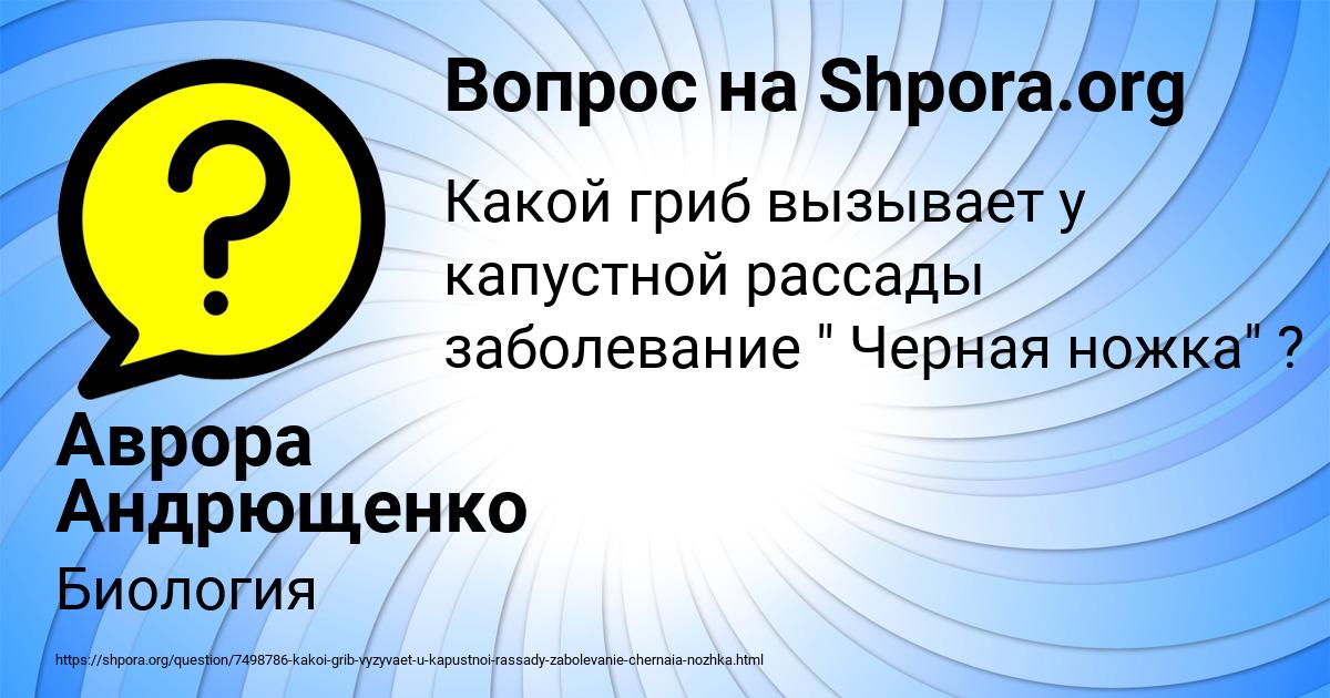 Картинка с текстом вопроса от пользователя Аврора Андрющенко