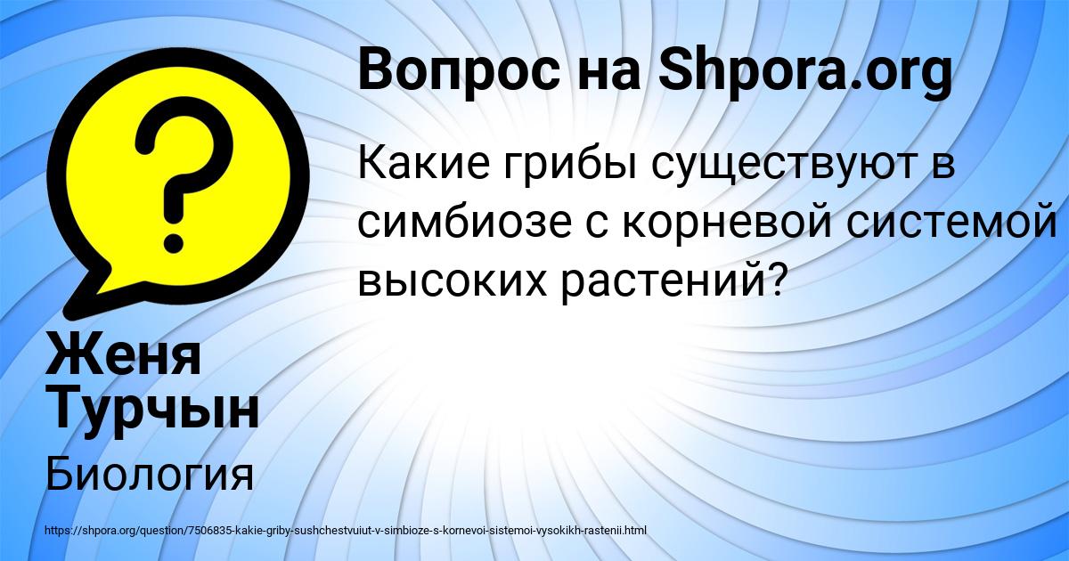 Картинка с текстом вопроса от пользователя Женя Турчын