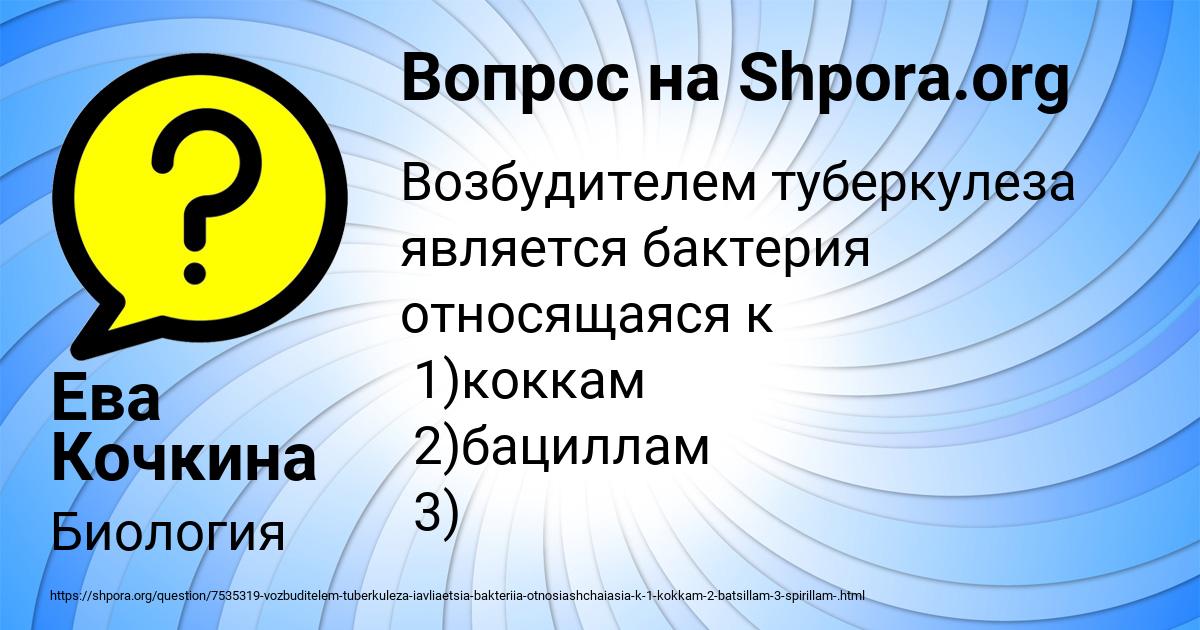 Картинка с текстом вопроса от пользователя Ева Кочкина