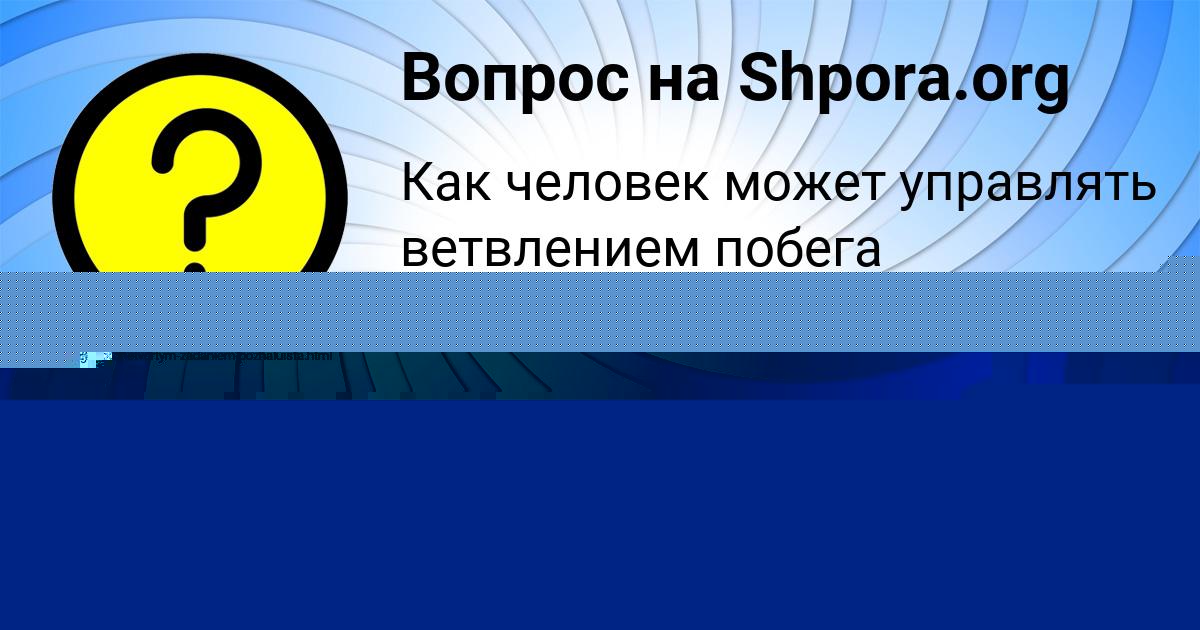 Картинка с текстом вопроса от пользователя VASILISA NIKOLAENKO