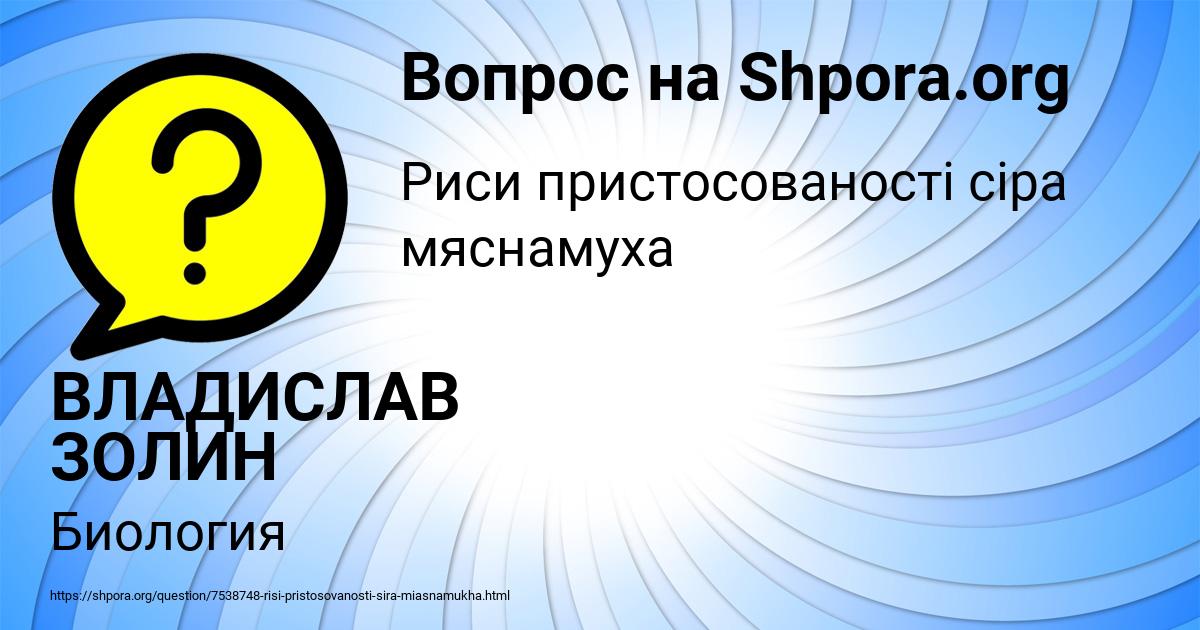 Картинка с текстом вопроса от пользователя ВЛАДИСЛАВ ЗОЛИН
