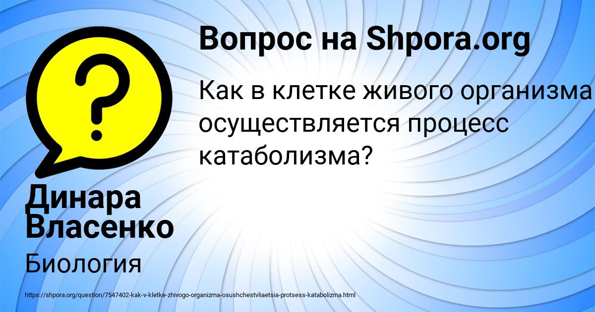 Картинка с текстом вопроса от пользователя Динара Власенко