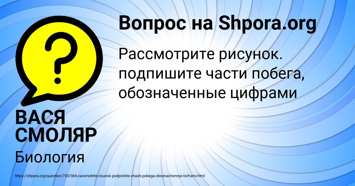 Картинка с текстом вопроса от пользователя ВАСЯ СМОЛЯР