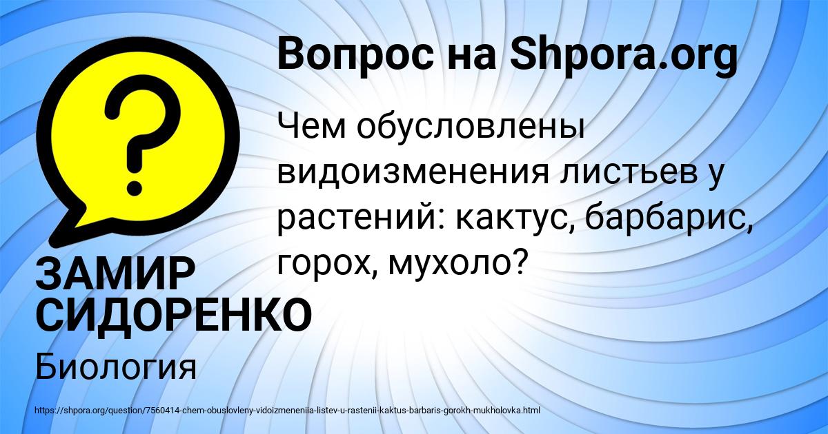 Картинка с текстом вопроса от пользователя ЗАМИР СИДОРЕНКО