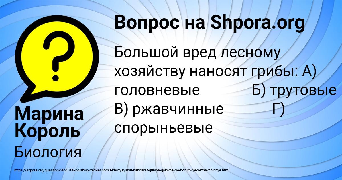 Картинка с текстом вопроса от пользователя Серый Кошкин