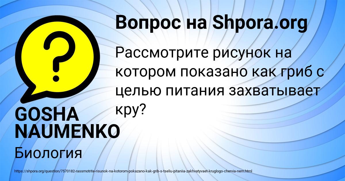 Картинка с текстом вопроса от пользователя GOSHA NAUMENKO