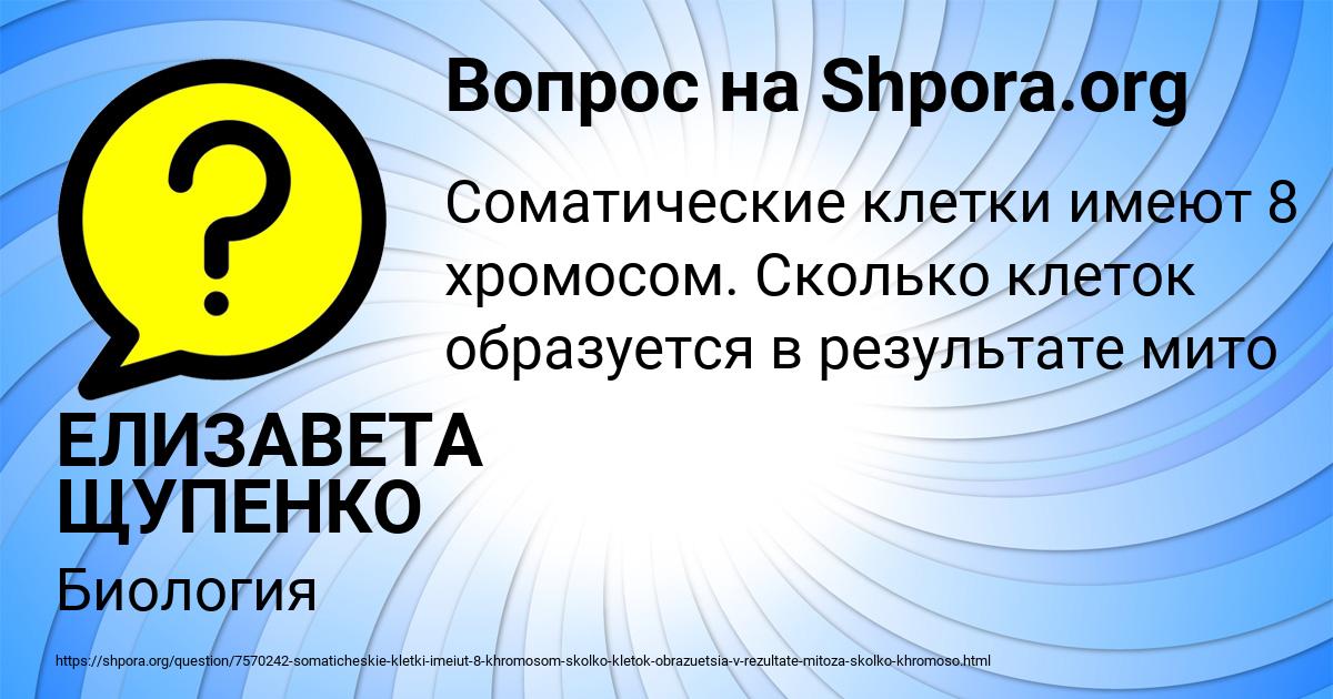 Картинка с текстом вопроса от пользователя ЕЛИЗАВЕТА ЩУПЕНКО