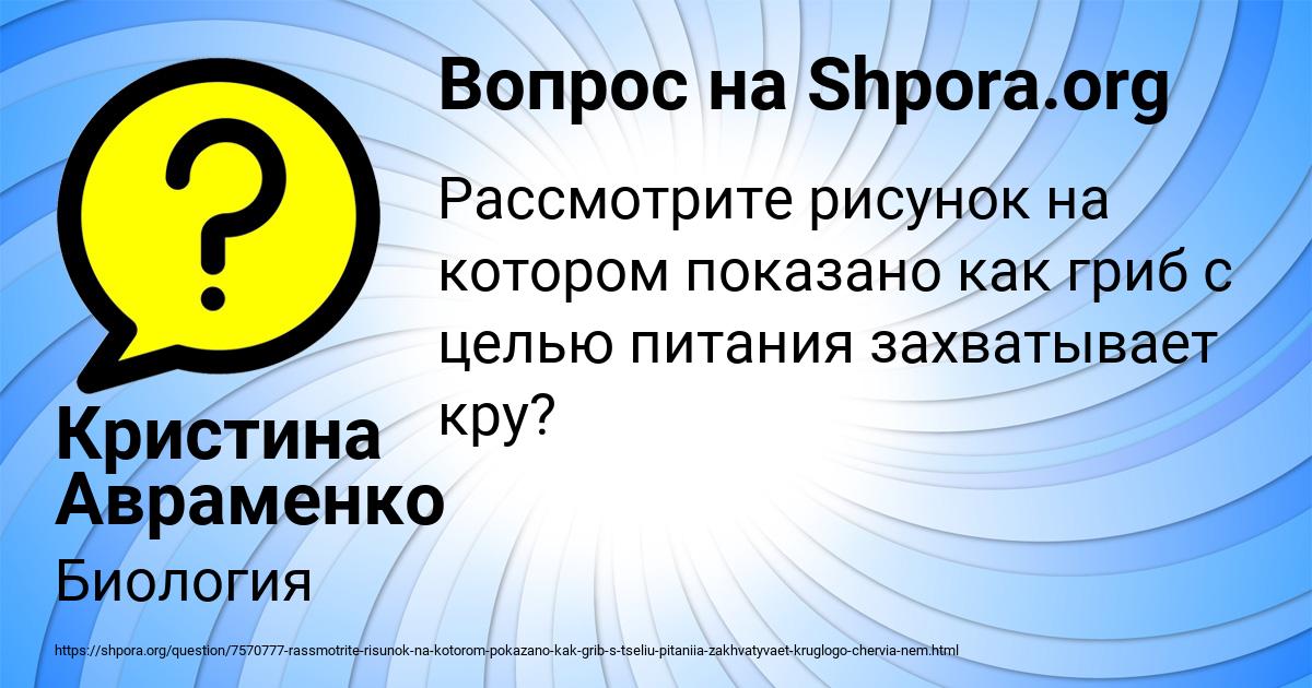 Картинка с текстом вопроса от пользователя Кристина Авраменко