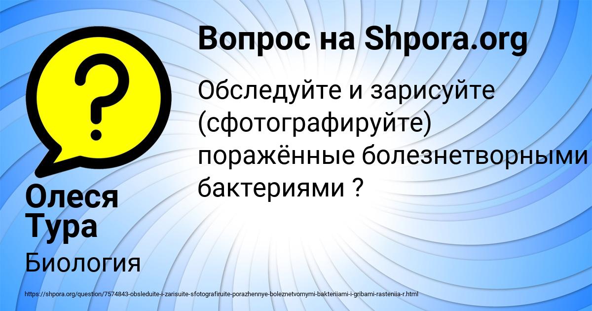 Картинка с текстом вопроса от пользователя Олеся Тура