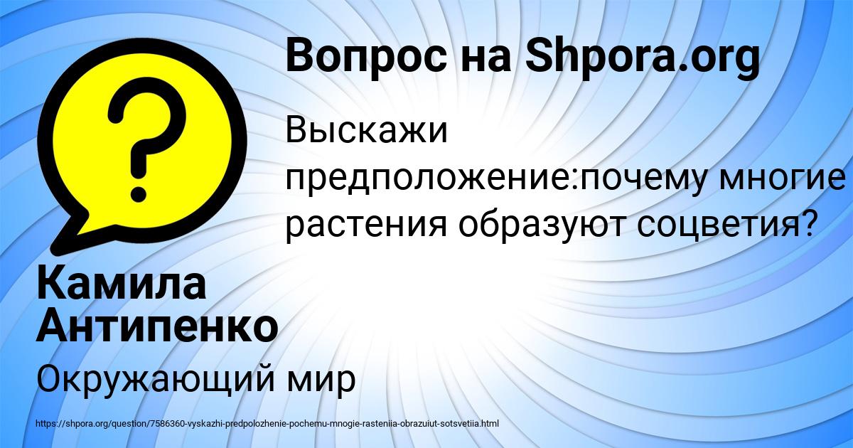 Картинка с текстом вопроса от пользователя Камила Антипенко