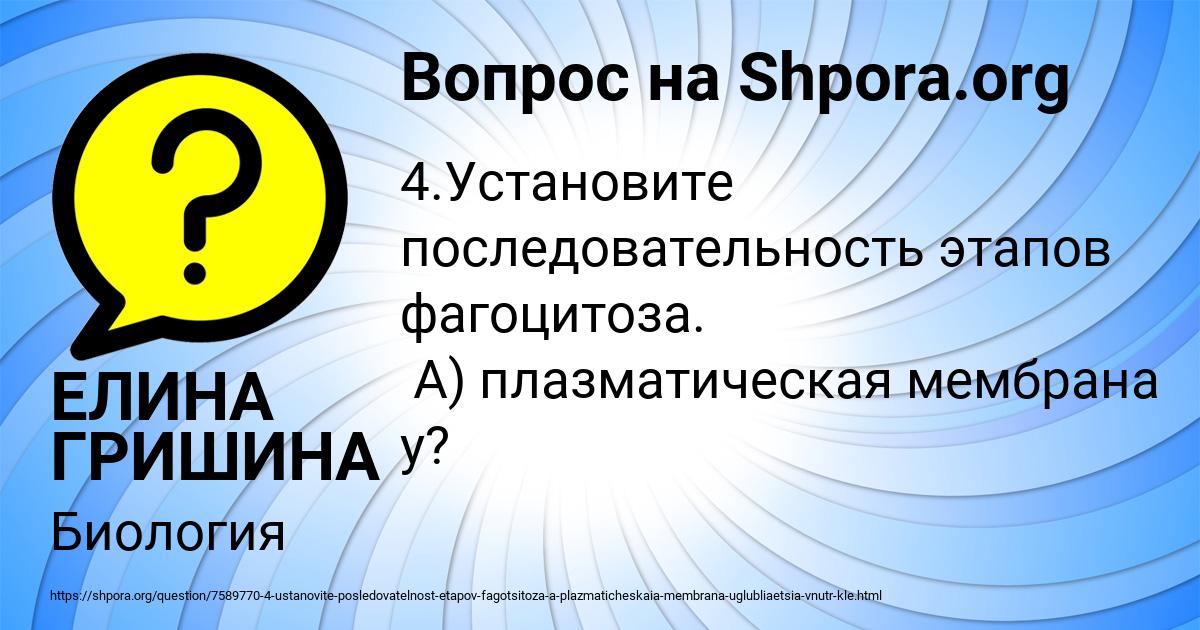 Картинка с текстом вопроса от пользователя ЕЛИНА ГРИШИНА