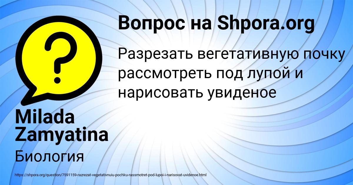 Картинка с текстом вопроса от пользователя Milada Zamyatina