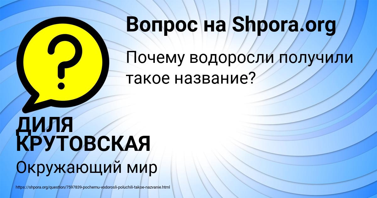 Картинка с текстом вопроса от пользователя ДИЛЯ КРУТОВСКАЯ
