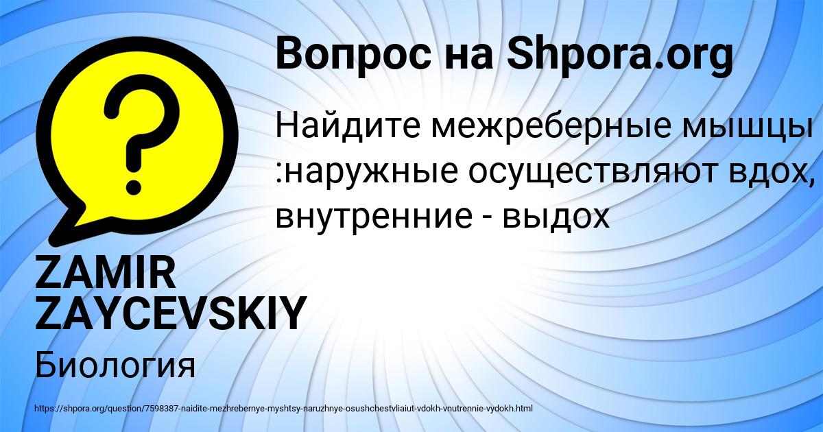 Картинка с текстом вопроса от пользователя ZAMIR ZAYCEVSKIY